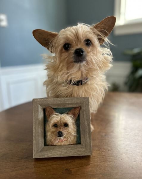 Художница делает из валяной шерсти реалистичные портреты собак (24 фото)