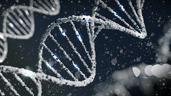 Обнаружены изменяющие толстую кишку «прыгающие гены»